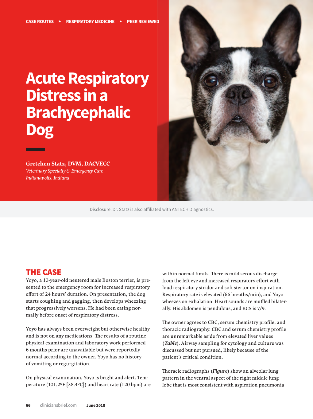 Acute Respiratory Distress in a Brachycephalic Dog