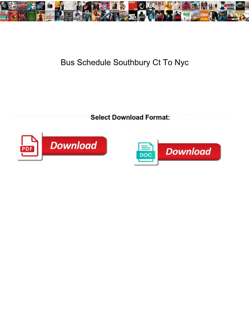 Bus Schedule Southbury Ct to Nyc