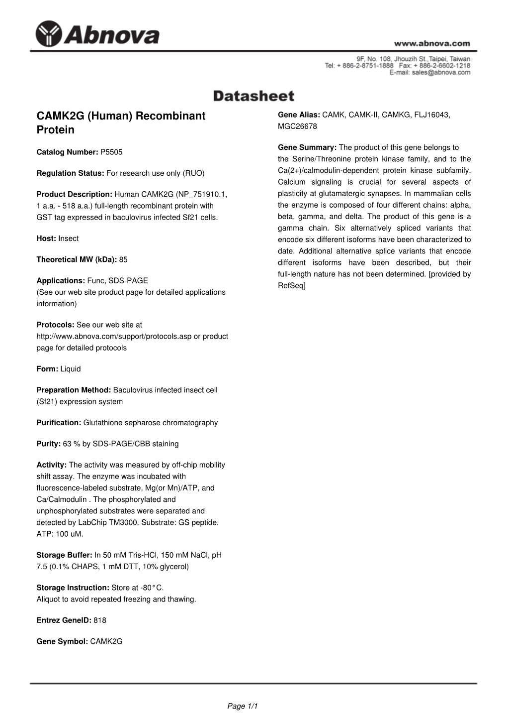 CAMK2G (Human) Recombinant Protein