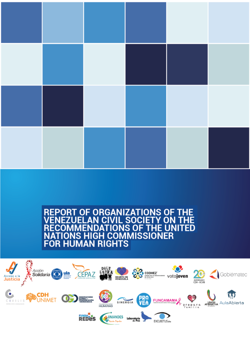Venezuelan Civil Society Organizations Report On