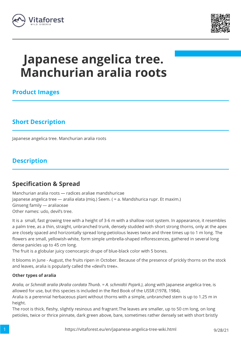 Japanese Angelica Tree. Manchurian Aralia Roots