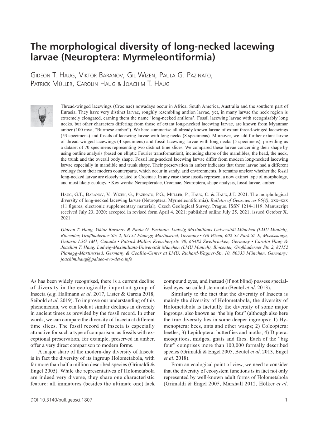 The Morphological Diversity of Long-Necked Lacewing Larvae (Neuroptera: Myrmeleontiformia)