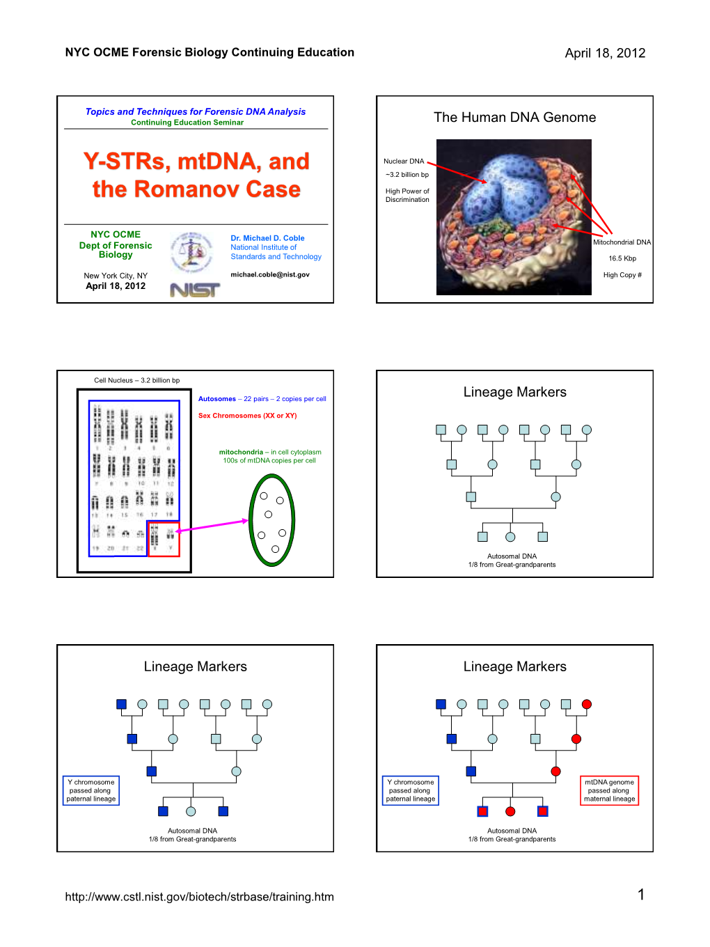 Y-Strs, Mtdna, and the Romanov Case