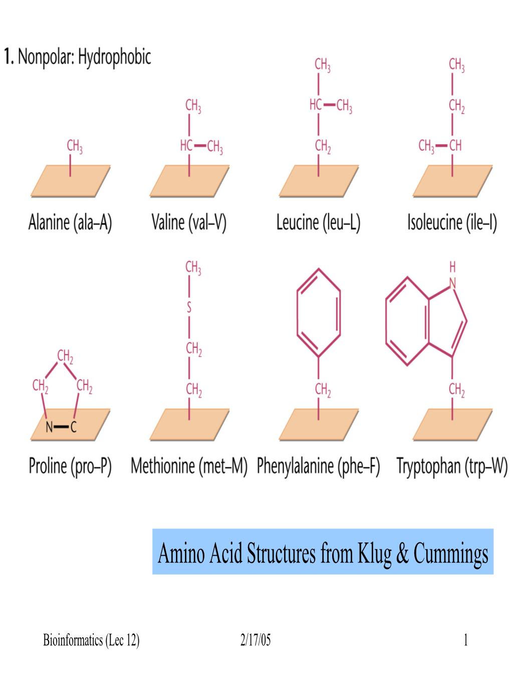 Amino Acid Structures from Klug & Cummings