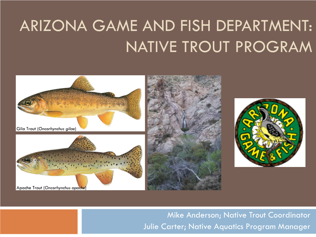 Arizona Game and Fish Native Trout Program
