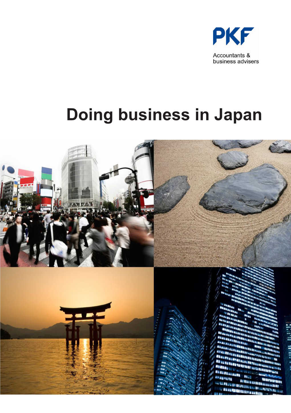 Doing Business in Japan Important Disclaimer