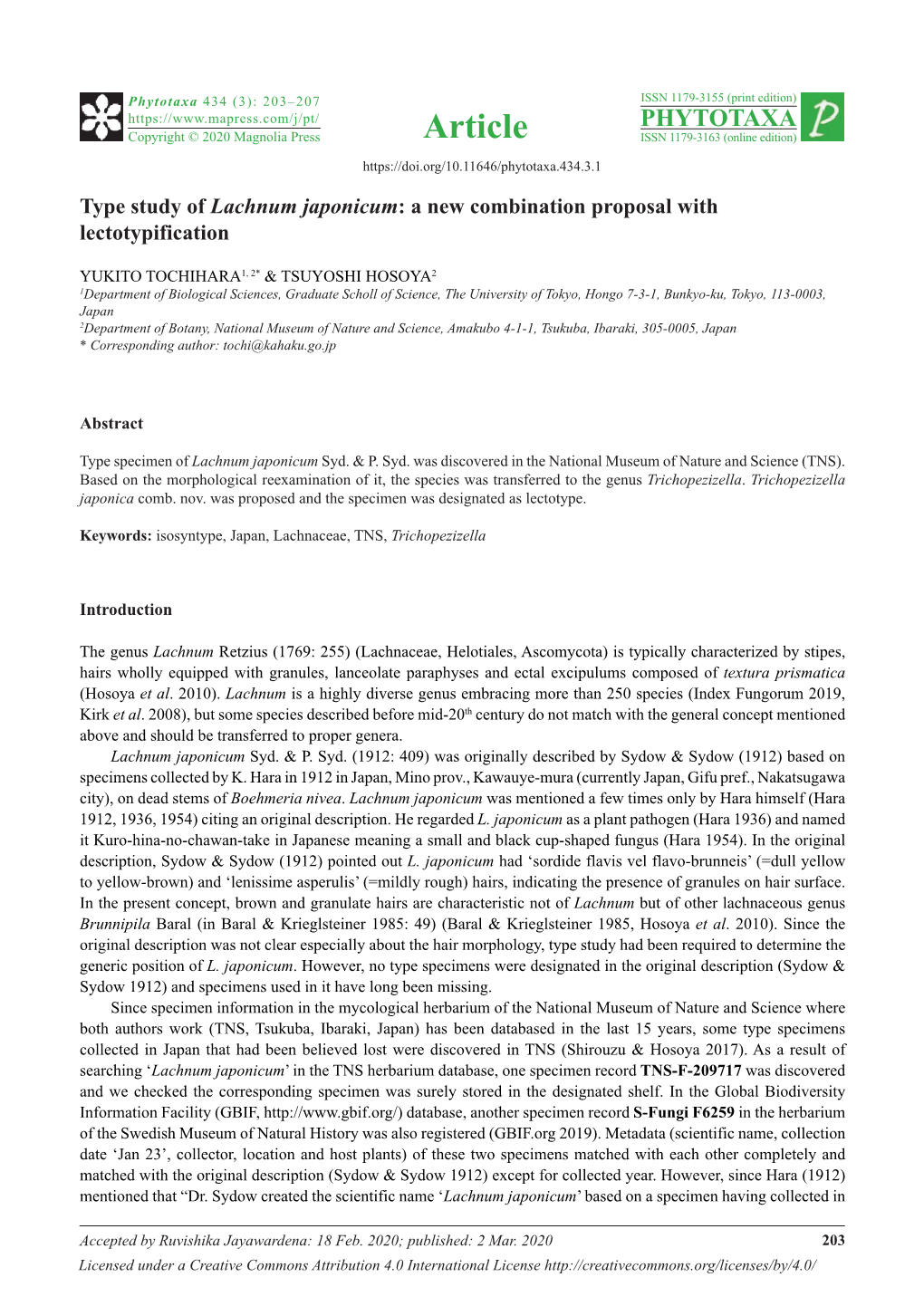 Type Study of Lachnum Japonicum: a New Combination Proposal with Lectotypification