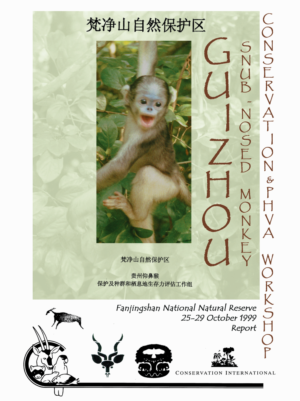 GUIZHOU SNUB-NOSED MONKEY (Rhinopithecus Brelichi)