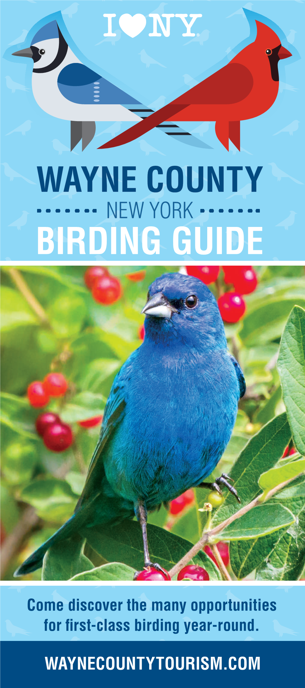 Birding Guide