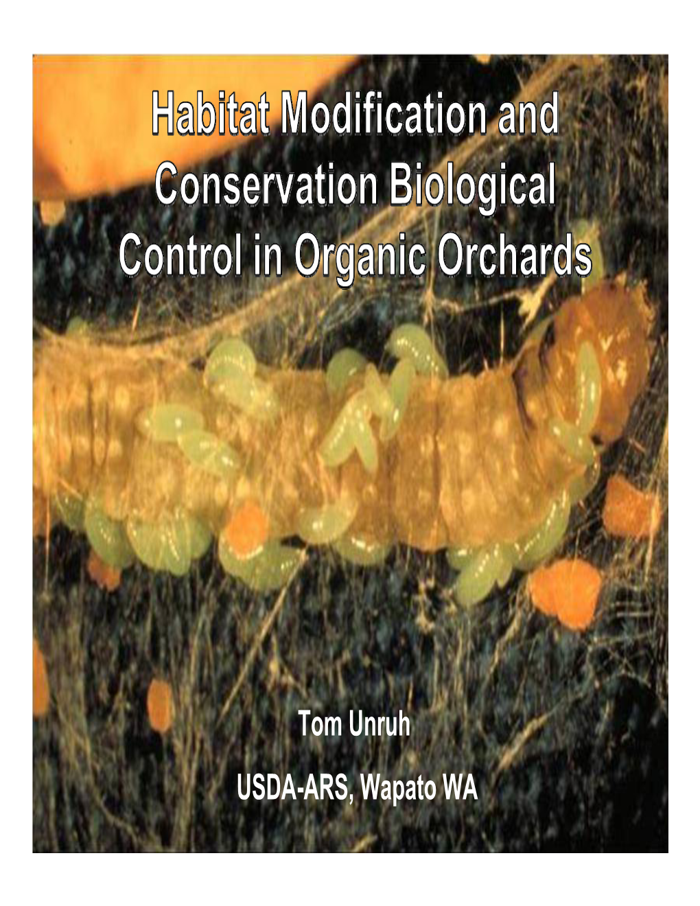 Tom Unruh USDA-ARS, Wapato WA Acknowledgements Colleagues Bob Pfannenstiel, Jay Brunner and Grower-Horticulturalist Cathy Peters Made This Work Possible