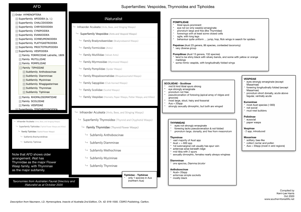 Vespoidea Thynnoidea