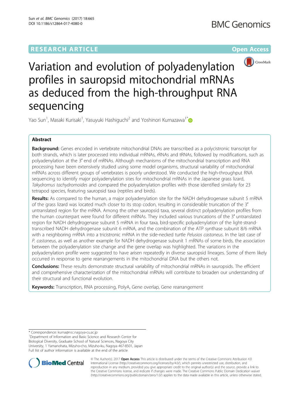 Variation and Evolution of Polyadenylation Profiles in Sauropsid Mitochondrial Mrnas As Deduced from the High-Throughput RNA