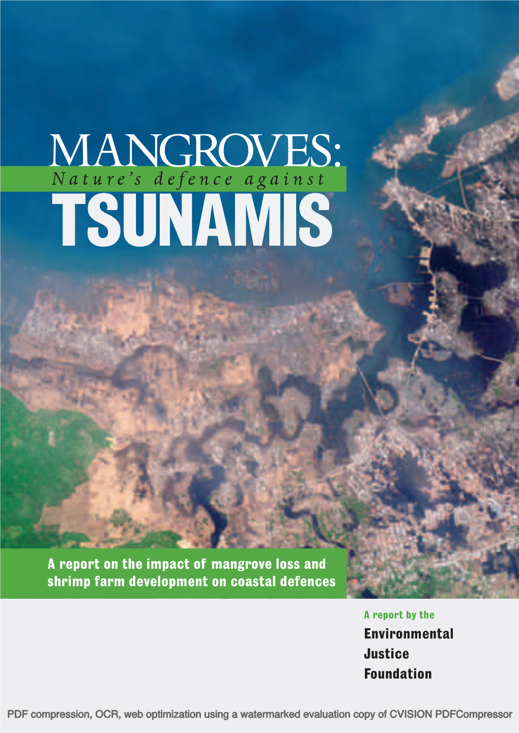 Mangroves: Nature's Defence Against Tsunamis