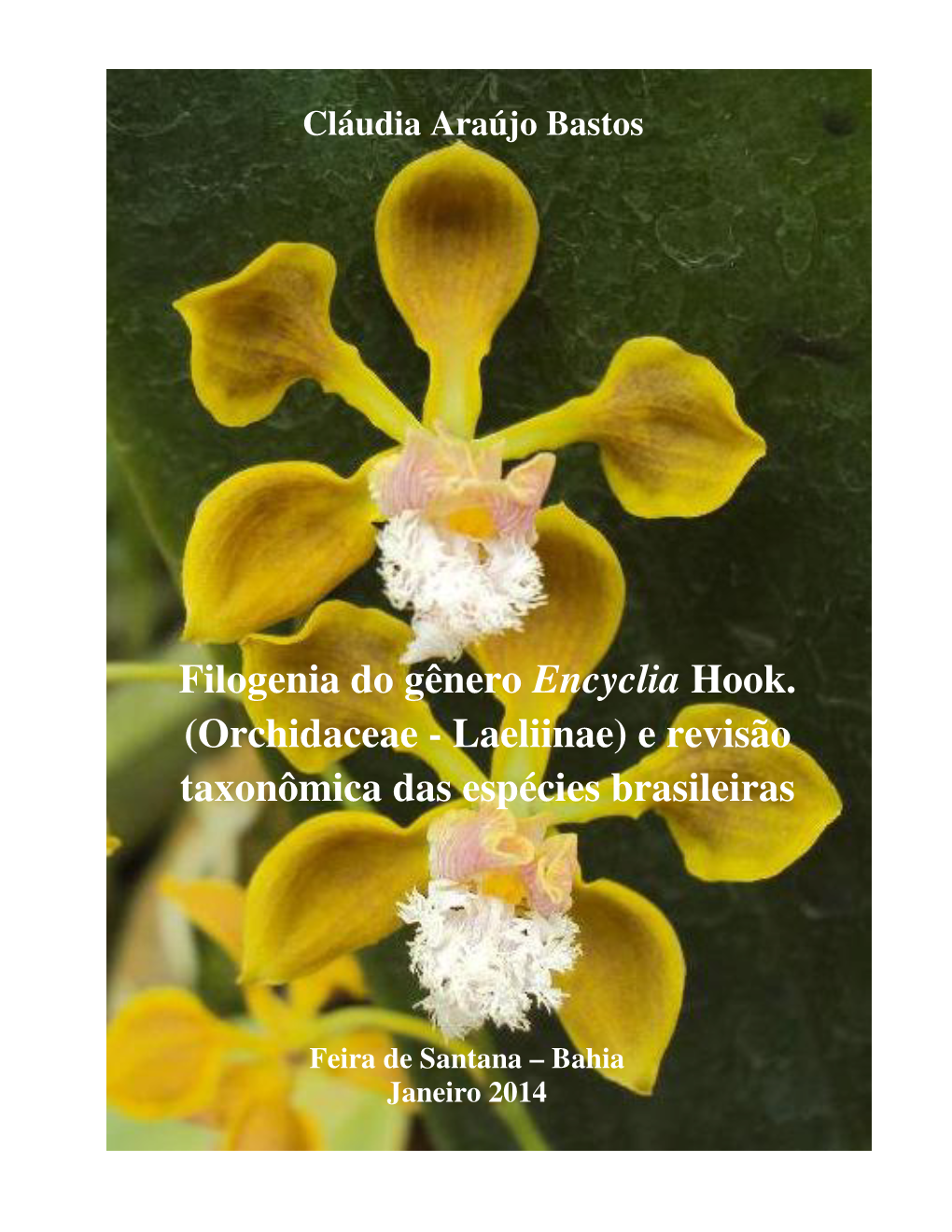 Filogenia Do Gênero Encyclia Hook. (Orchidaceae - Laeliinae) E Revisão Taxonômica Das Espécies Brasileiras