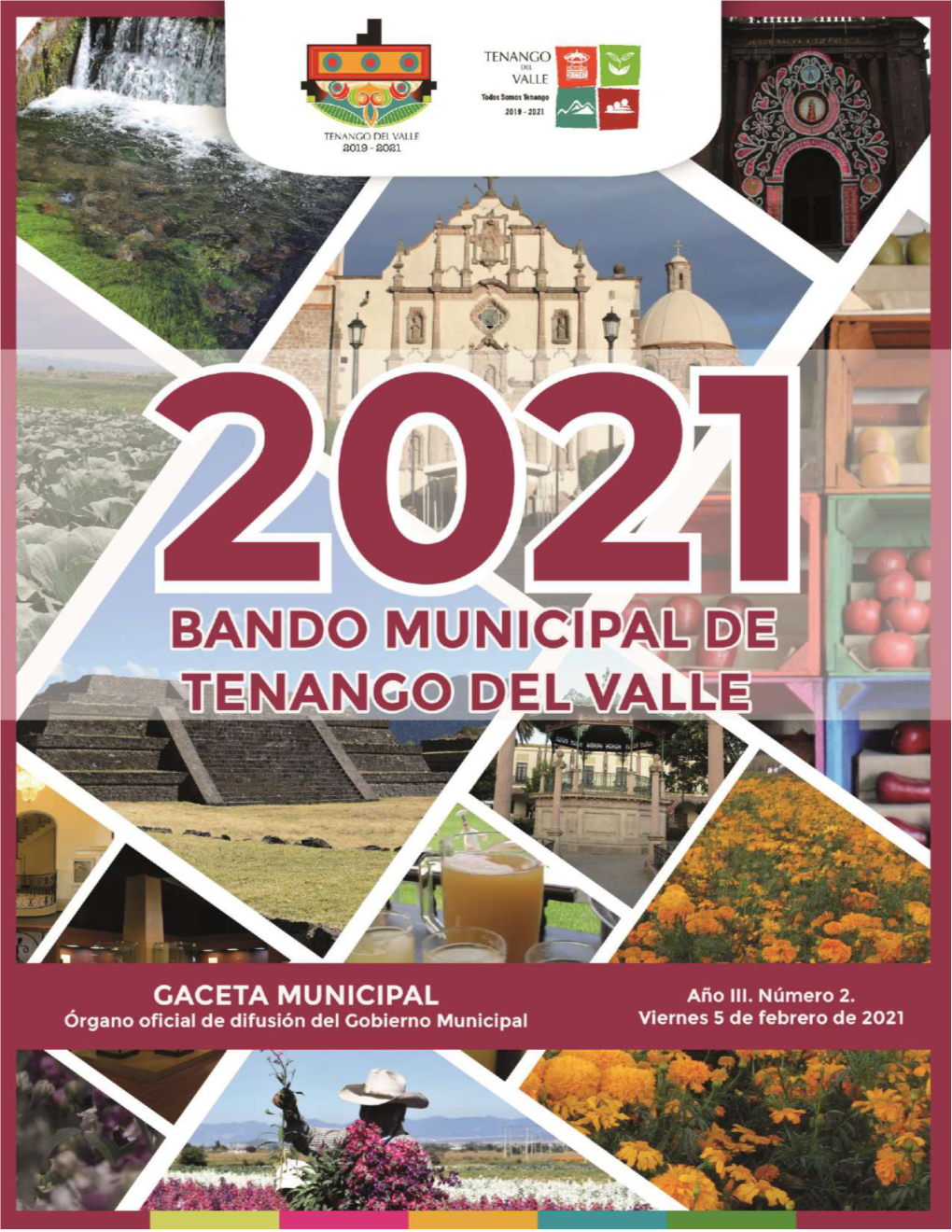 Tenango Del Valle 2021