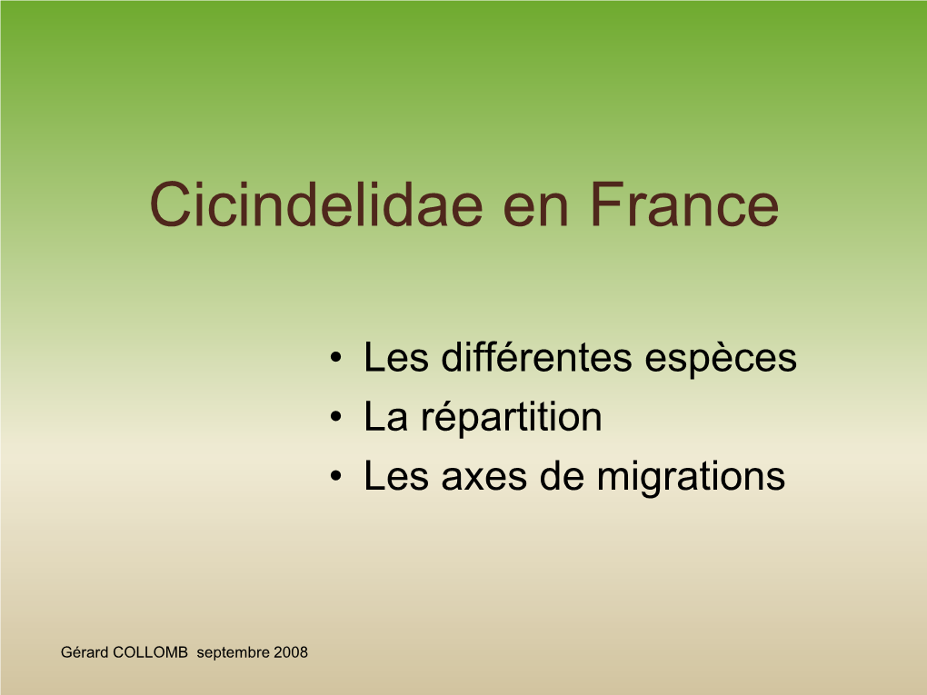 Cicindelidae En France