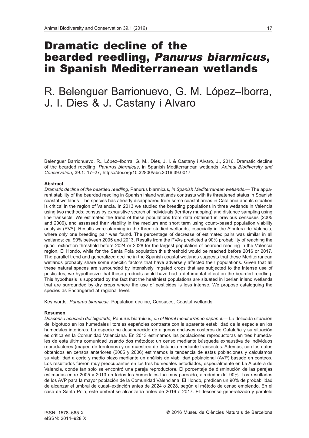 Dramatic Decline of the Bearded Reedling, Panurus Biarmicus, in Spanish Mediterranean Wetlands