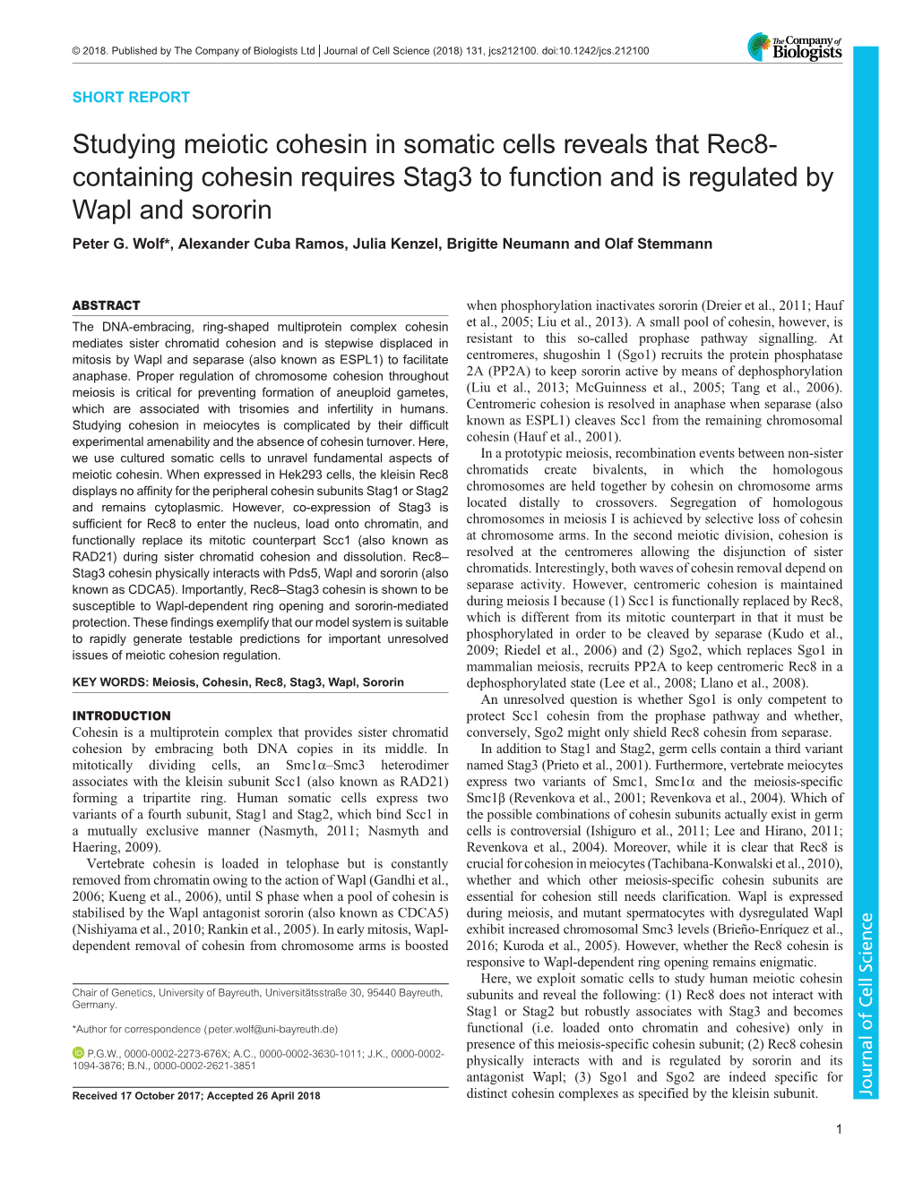 Studying Meiotic Cohesin in Somatic Cells Reveals That Rec8-Containing