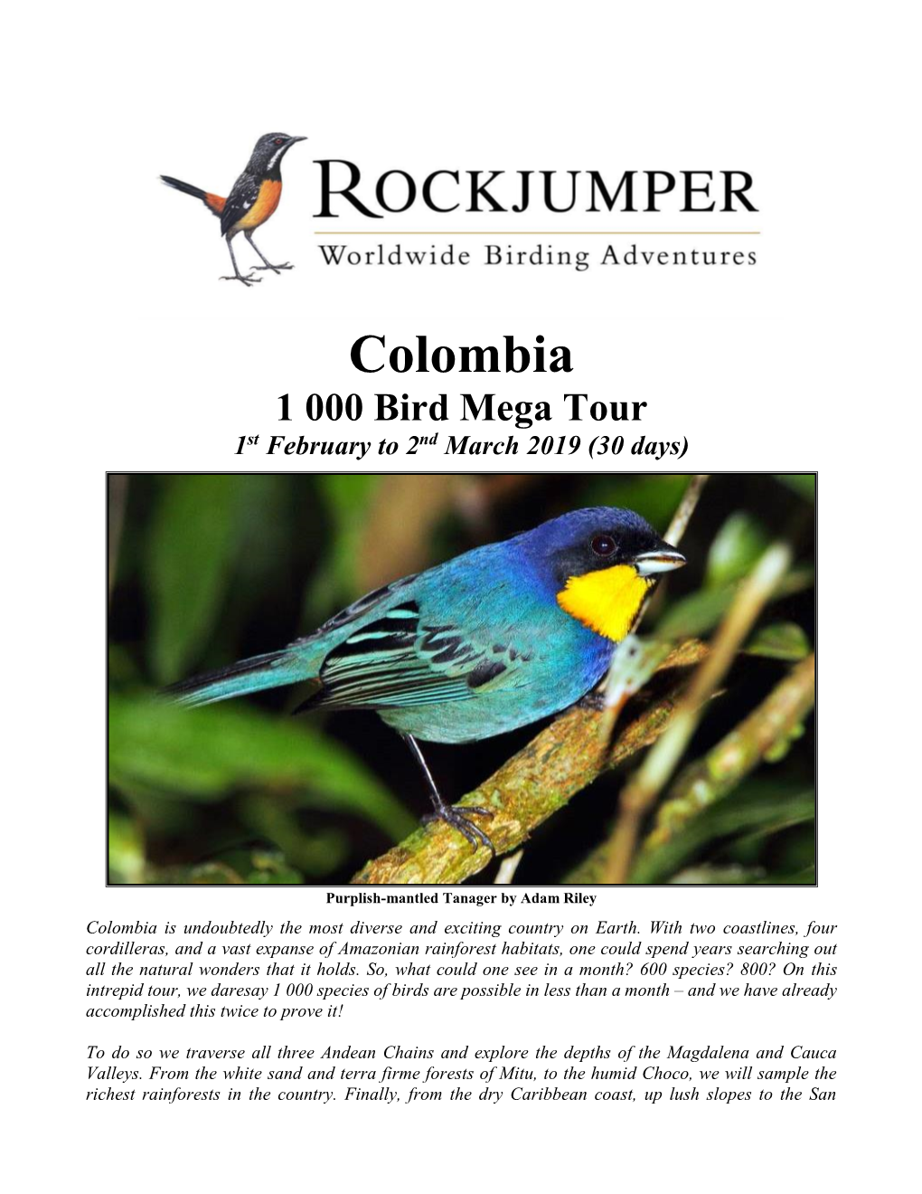 Colombia 1 000 Bird Mega Tour 1St February to 2Nd March 2019 (30 Days)