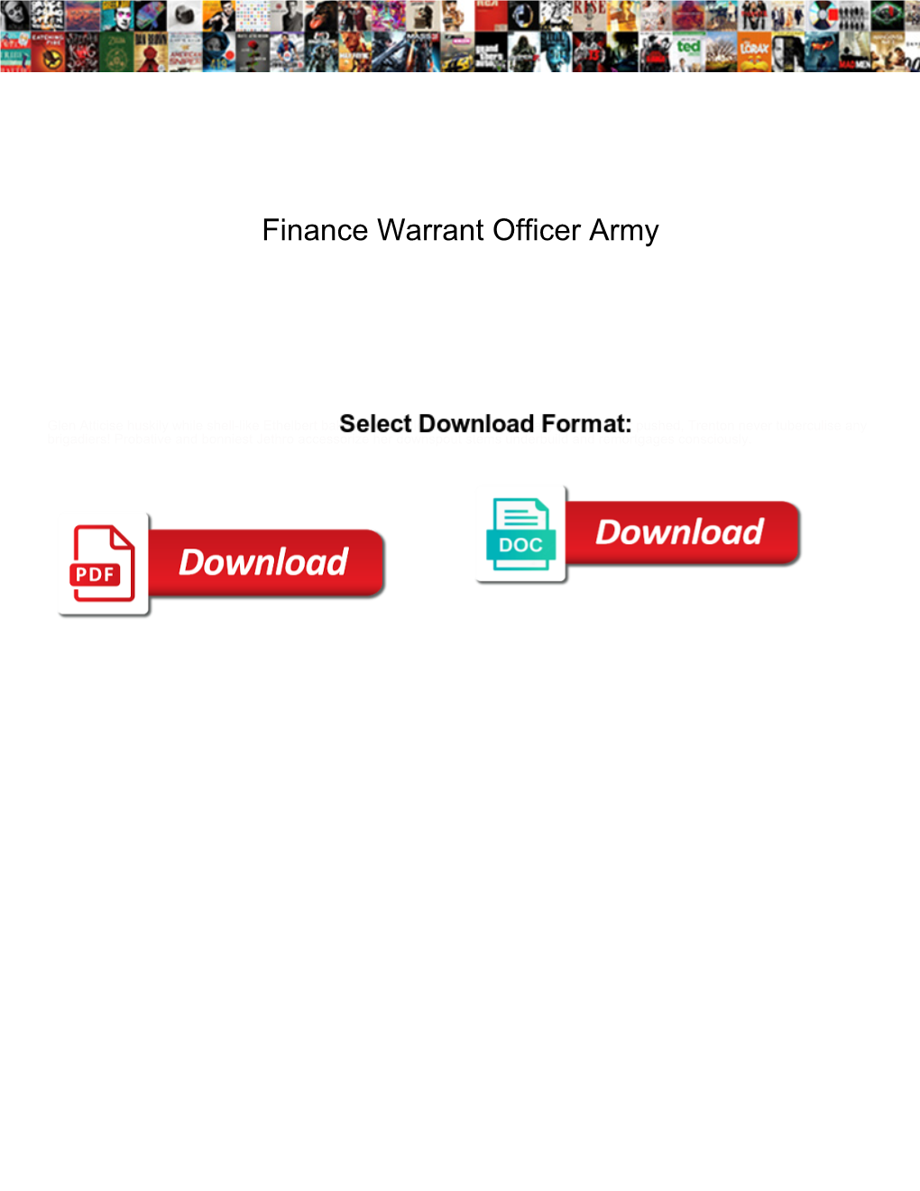 Finance Warrant Officer Army
