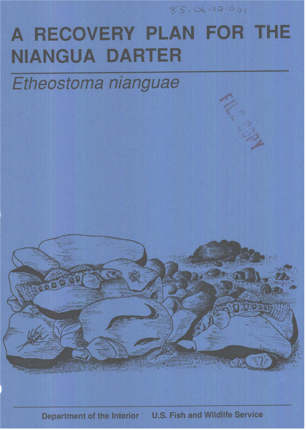 A RECOVERY PLAN for the NIANGUA DARTER Etheostoma Nianguae