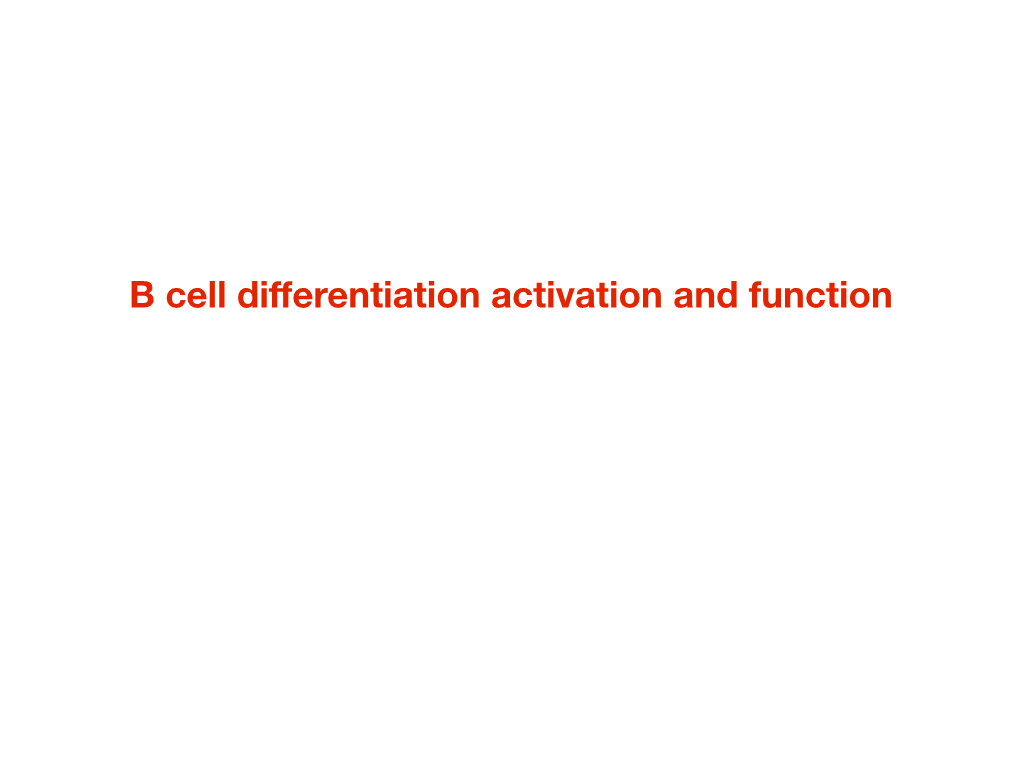 B Cell Differentiation Activation and Function