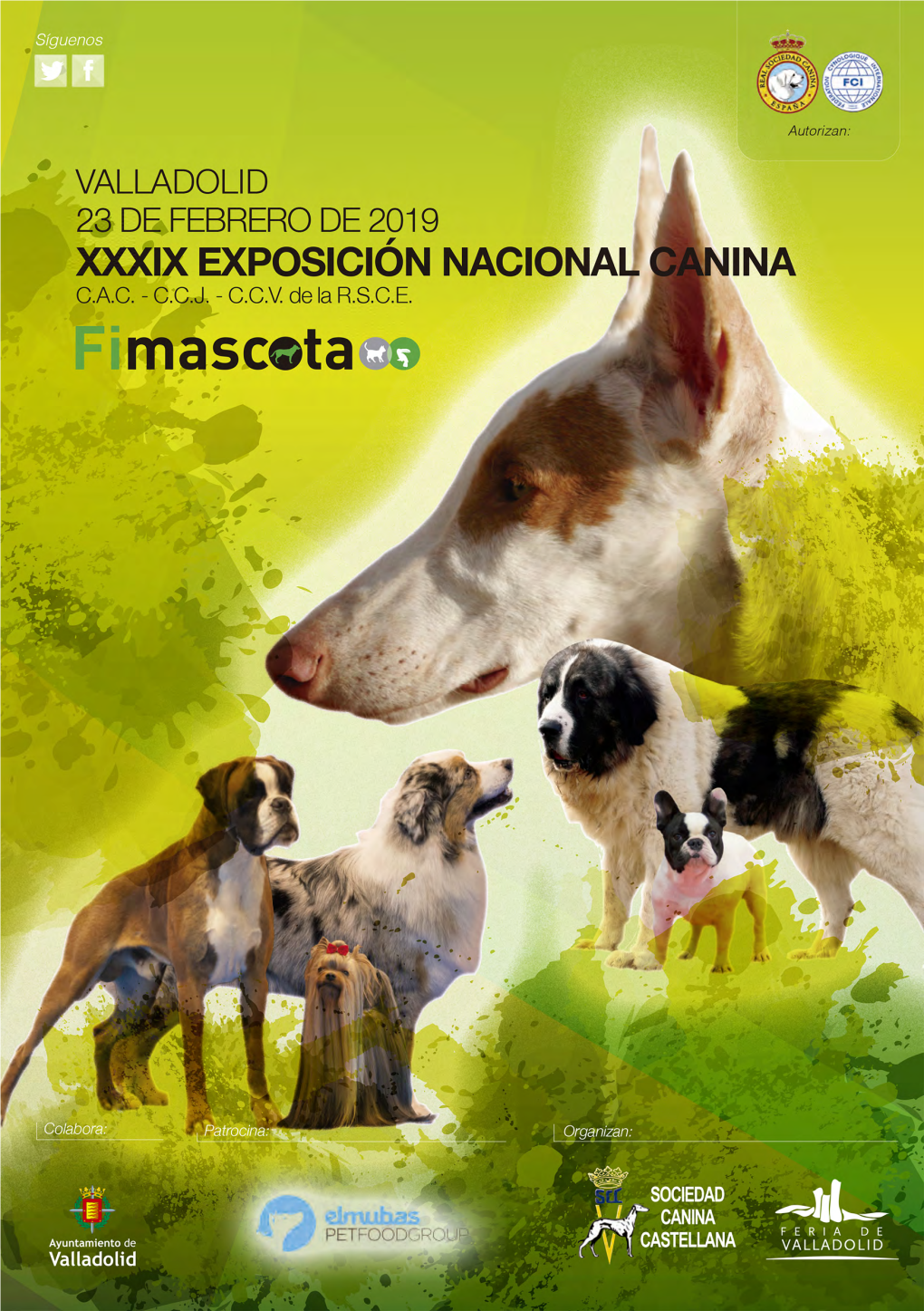 Catalogo CAC Valladolid-2019