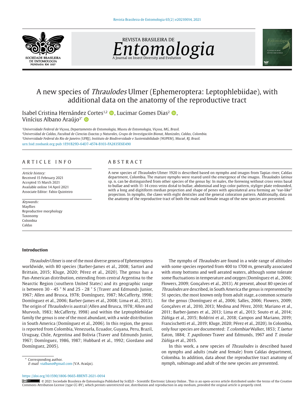 A New Species of Thraulodes Ulmer (Ephemeroptera: Leptophlebiidae), with Additional Data on the Anatomy of the Reproductive Tract