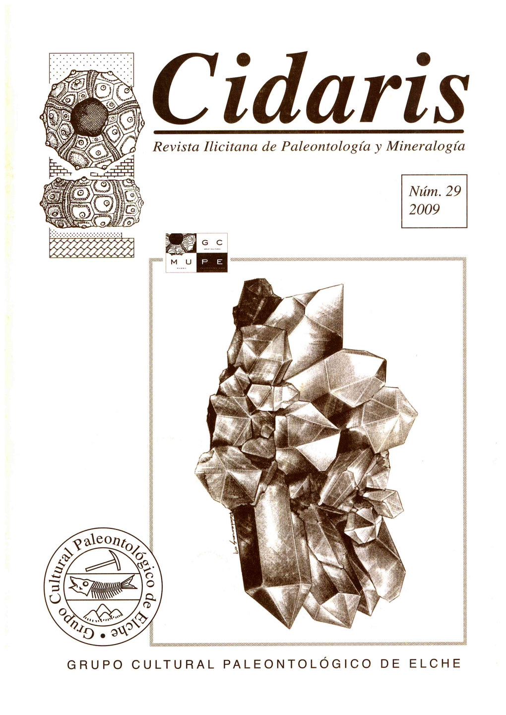 Cidaris-29.Pdf