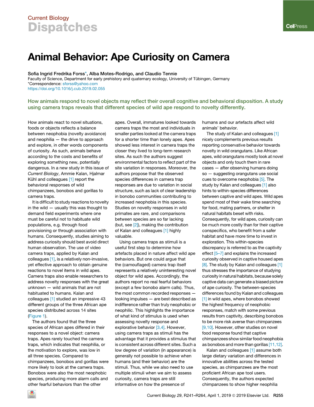 Animal Behavior: Ape Curiosity on Camera