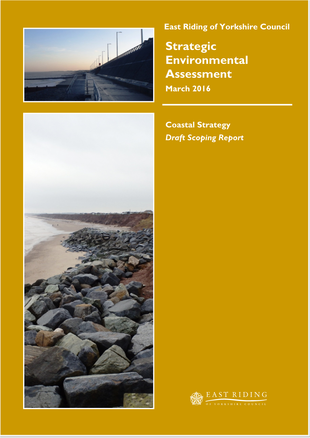 Strategic Environmental Assessment