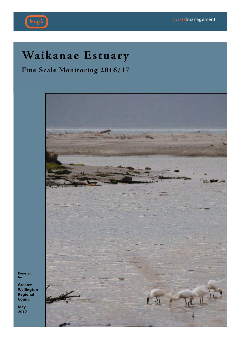 Waikanae Estuary Fine Scale Monitoring 2016/17