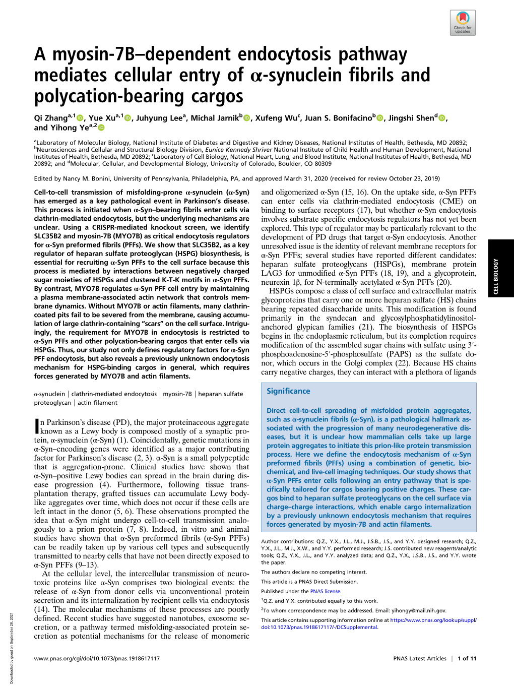 A Myosin-7B–Dependent Endocytosis Pathway Mediates Cellular Entry of Α-Synuclein Fibrils and Polycation-Bearing Cargos