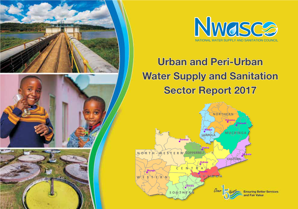 Urban and Peri-Urban Water Supply and Sanitation Sector Report 2017
