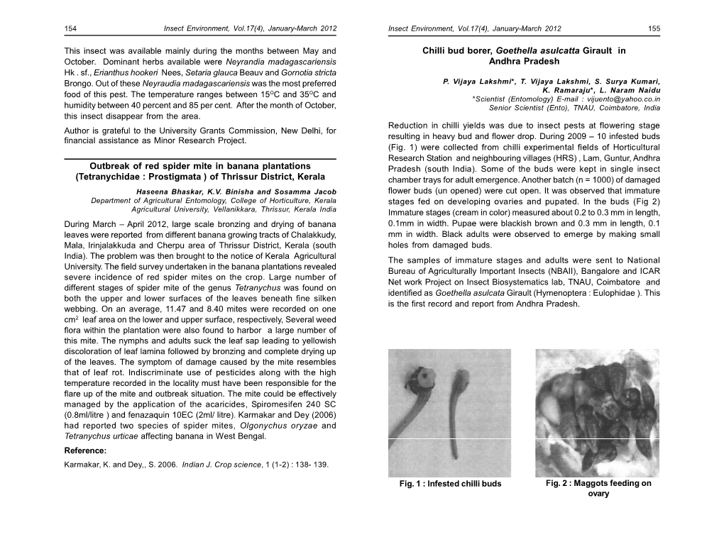 Outbreak of Red Spider Mite in Banana Plantations Pradesh (South India)