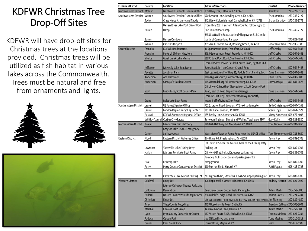 KDFWR Christmas Tree Drop-Off Sites KDFWR Will Have Drop-Off Sites For