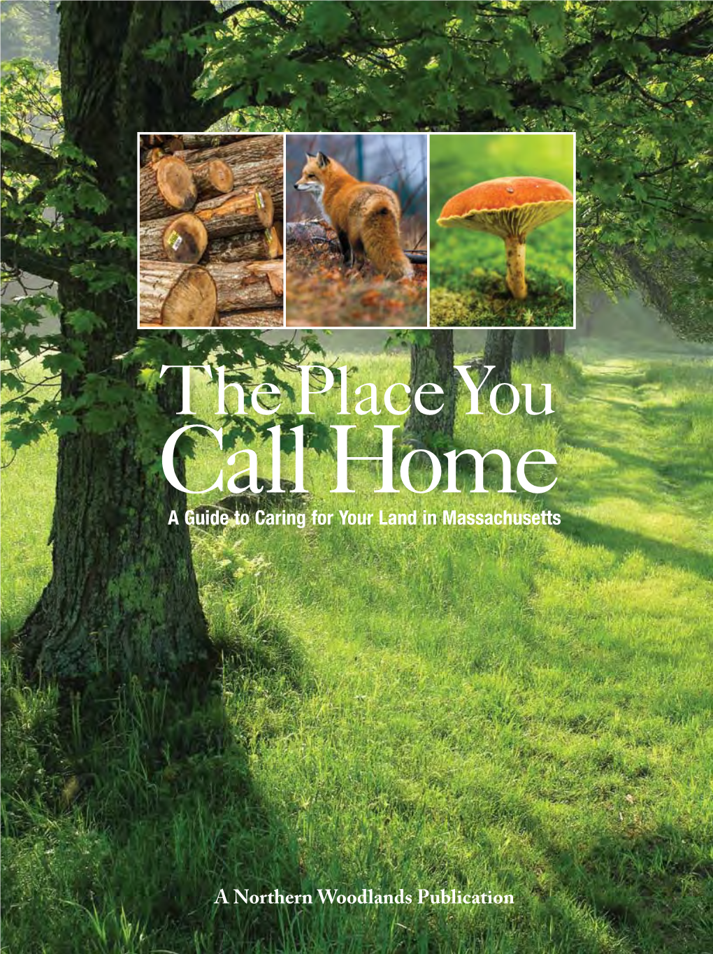 The Place You Call Home a Guide to Caring for Your Land in Massachusetts