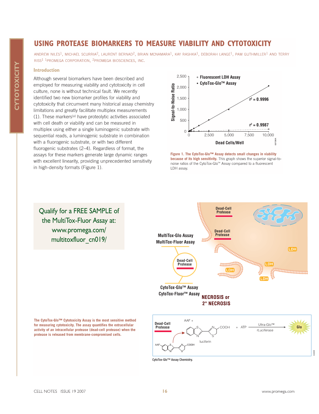 Using Protease Biomarkers to Measure Viability and Cytotoxicity