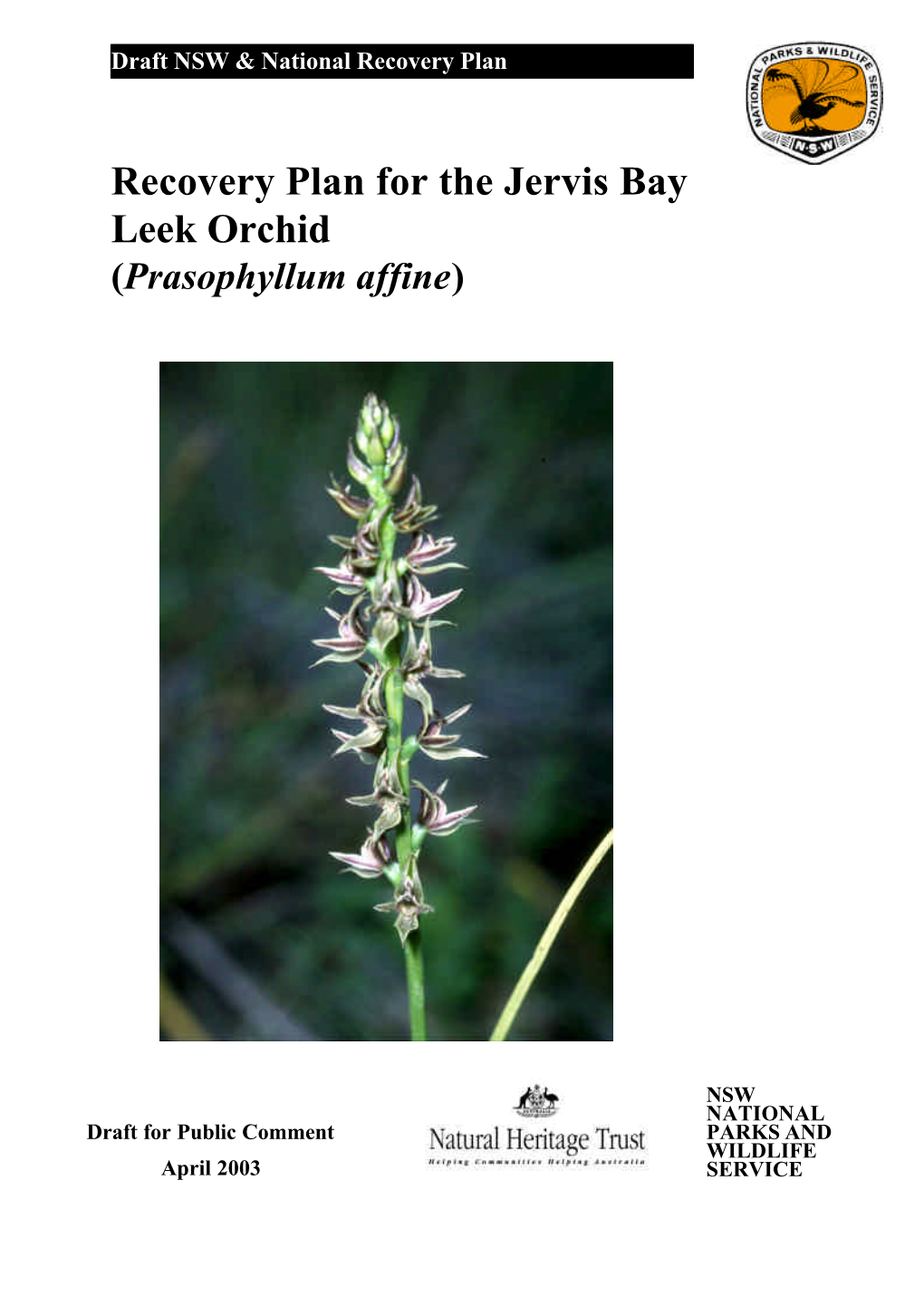 Draft Recovery Plan for the Jervis Bay Leek Orchid (Prasophyllum Affine)