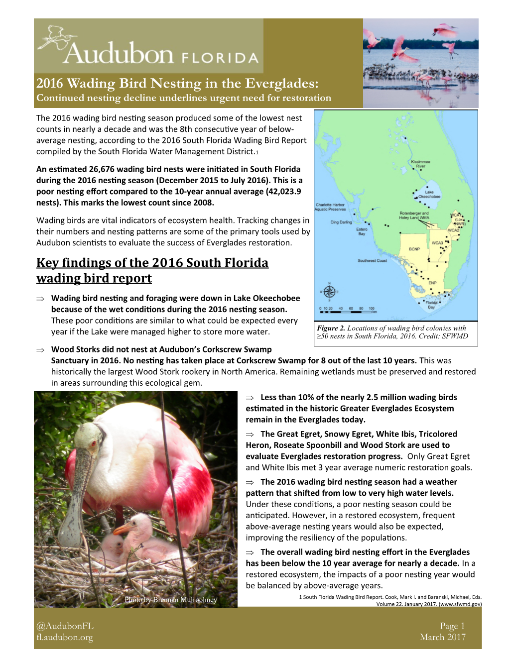 2016 Wading Bird Nesting in the Everglades: Continued Nesting Decline Underlines Urgent Need for Restoration