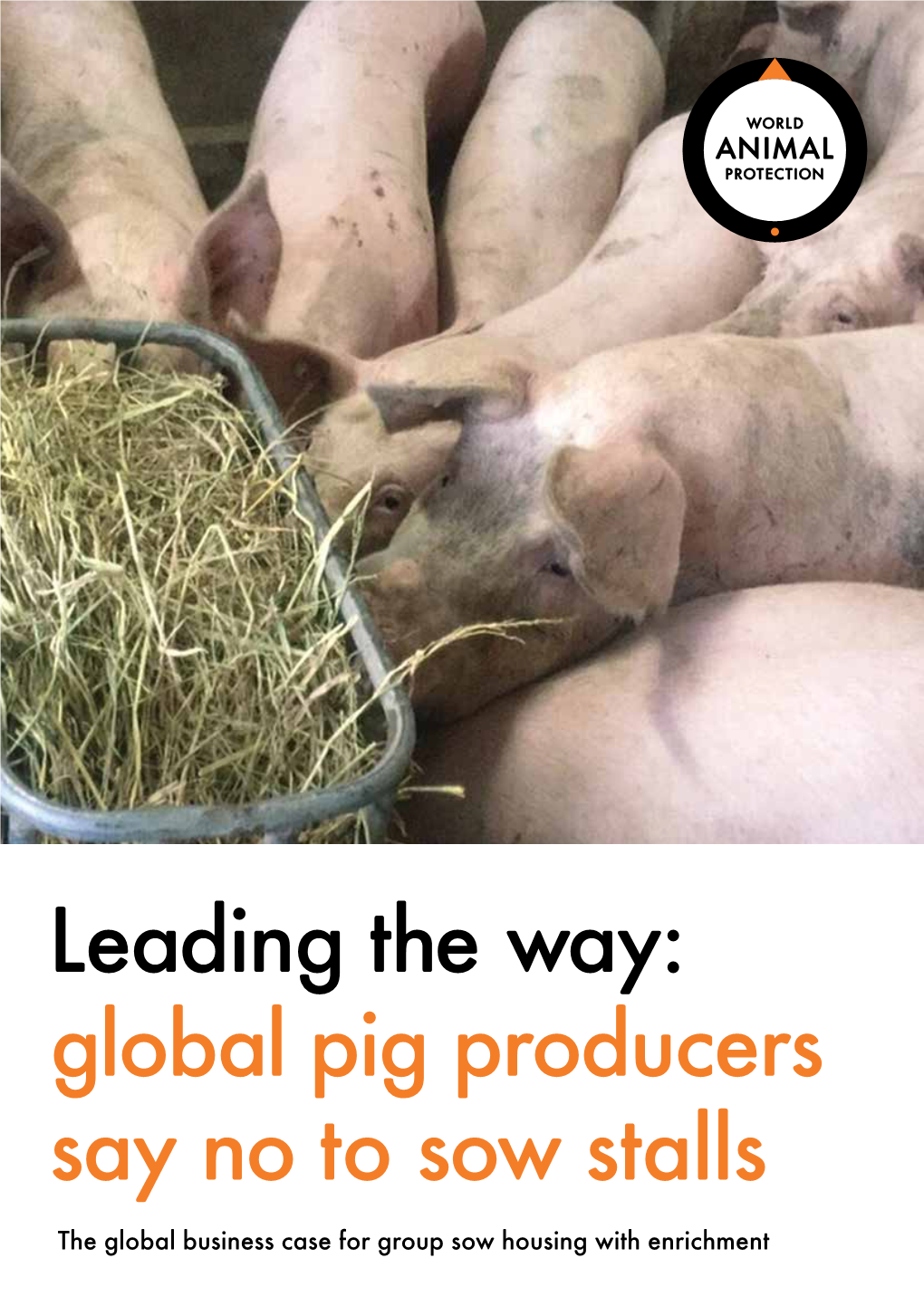 Global Pig Producers Say No to Sow Stalls the Global Business Case for Group Sow Housing with Enrichment