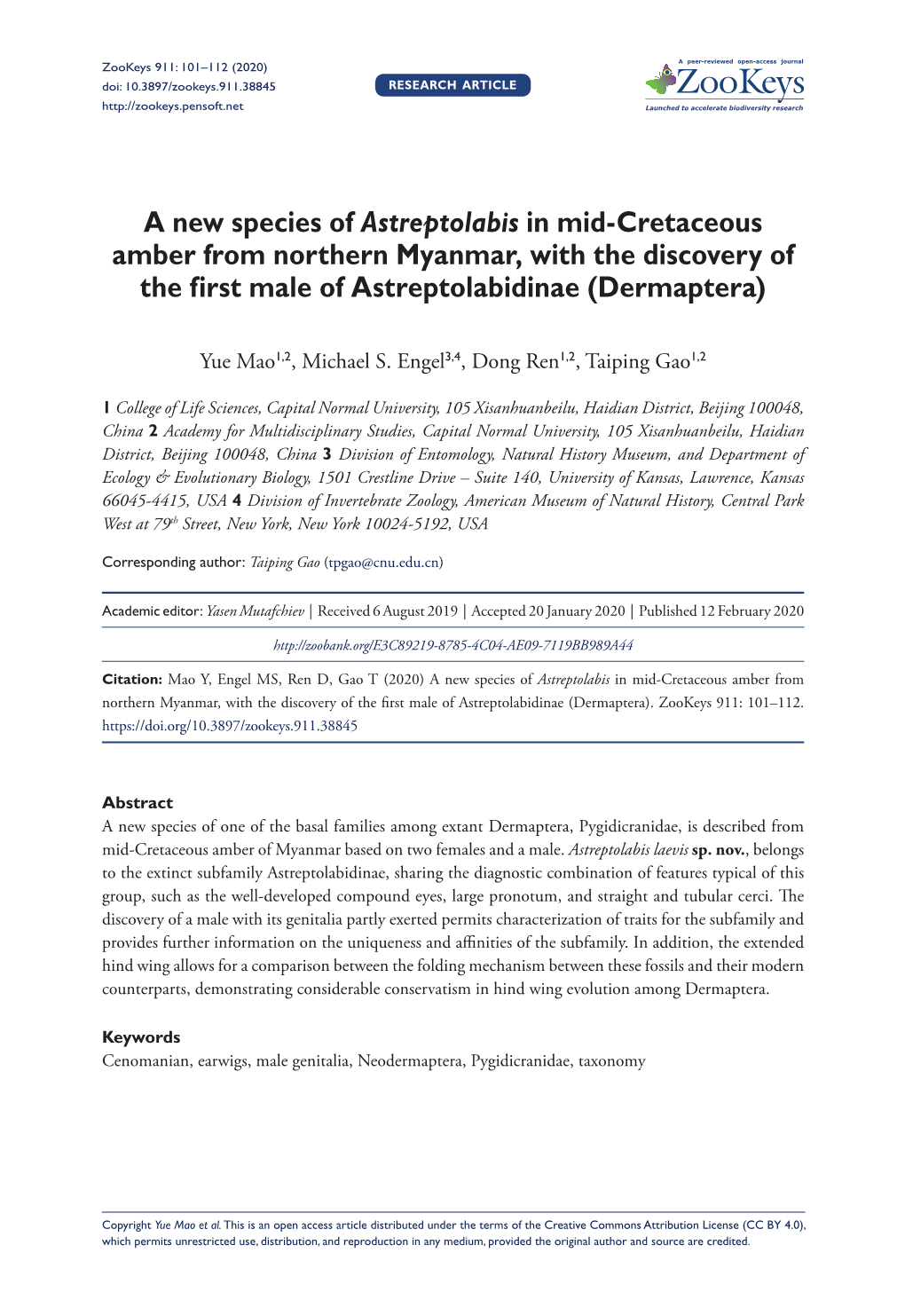 A New Species of Astreptolabis in Mid-Cretaceous Amber from Northern Myanmar, with the Discovery of the First Male of Astreptolabidinae (Dermaptera)