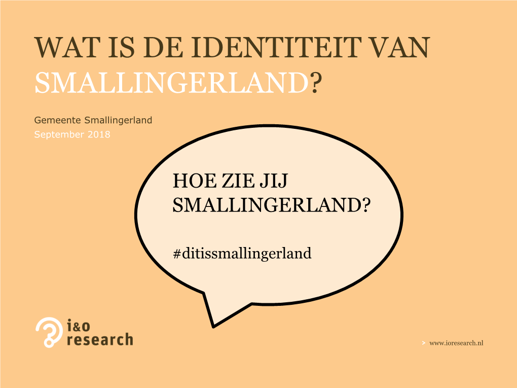 Wat Is De Identiteit Van Smallingerland?