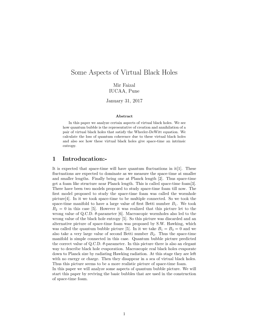 Some Aspects of Virtual Black Holes