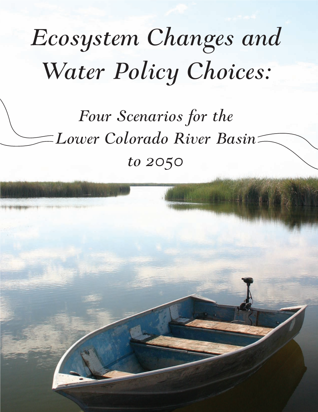 Ecosystem Changes and Water Policy Choices