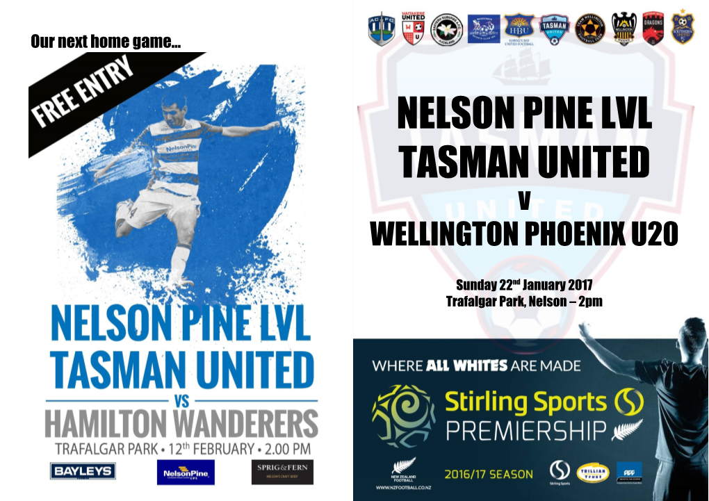 Nelson Pine LVL Tasman United Would Like To