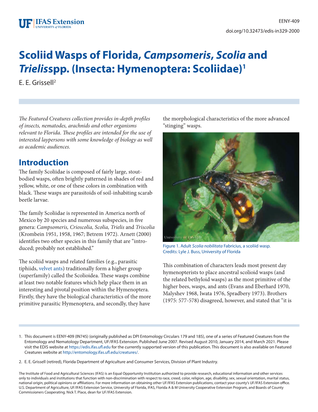 Scoliid Wasps of Florida, Campsomeris, Scolia and Trielisspp. (Insecta: Hymenoptera: Scoliidae)1 E