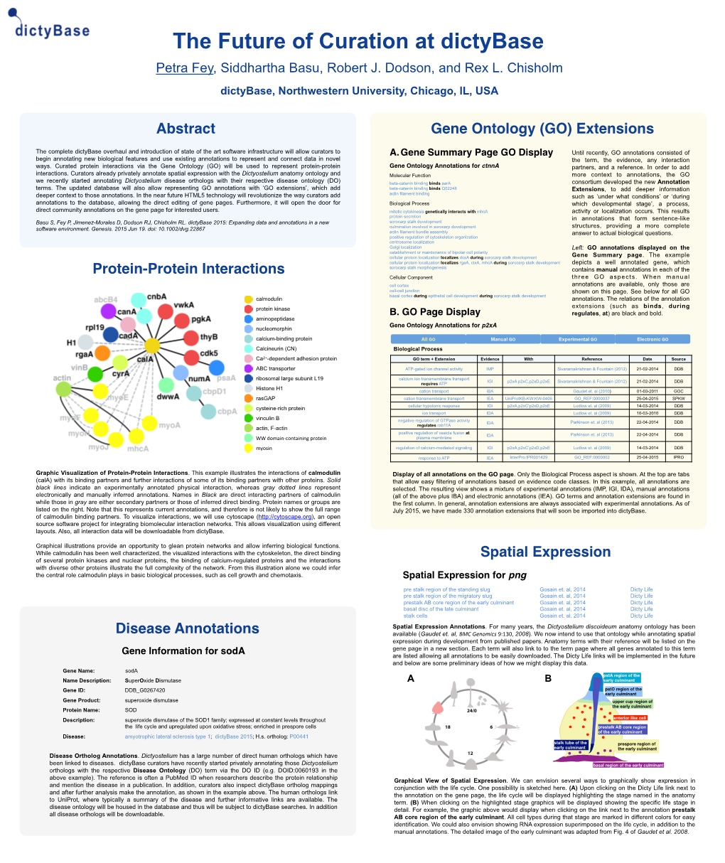 Abstract Protein-Protein Interactions Gene Ontology