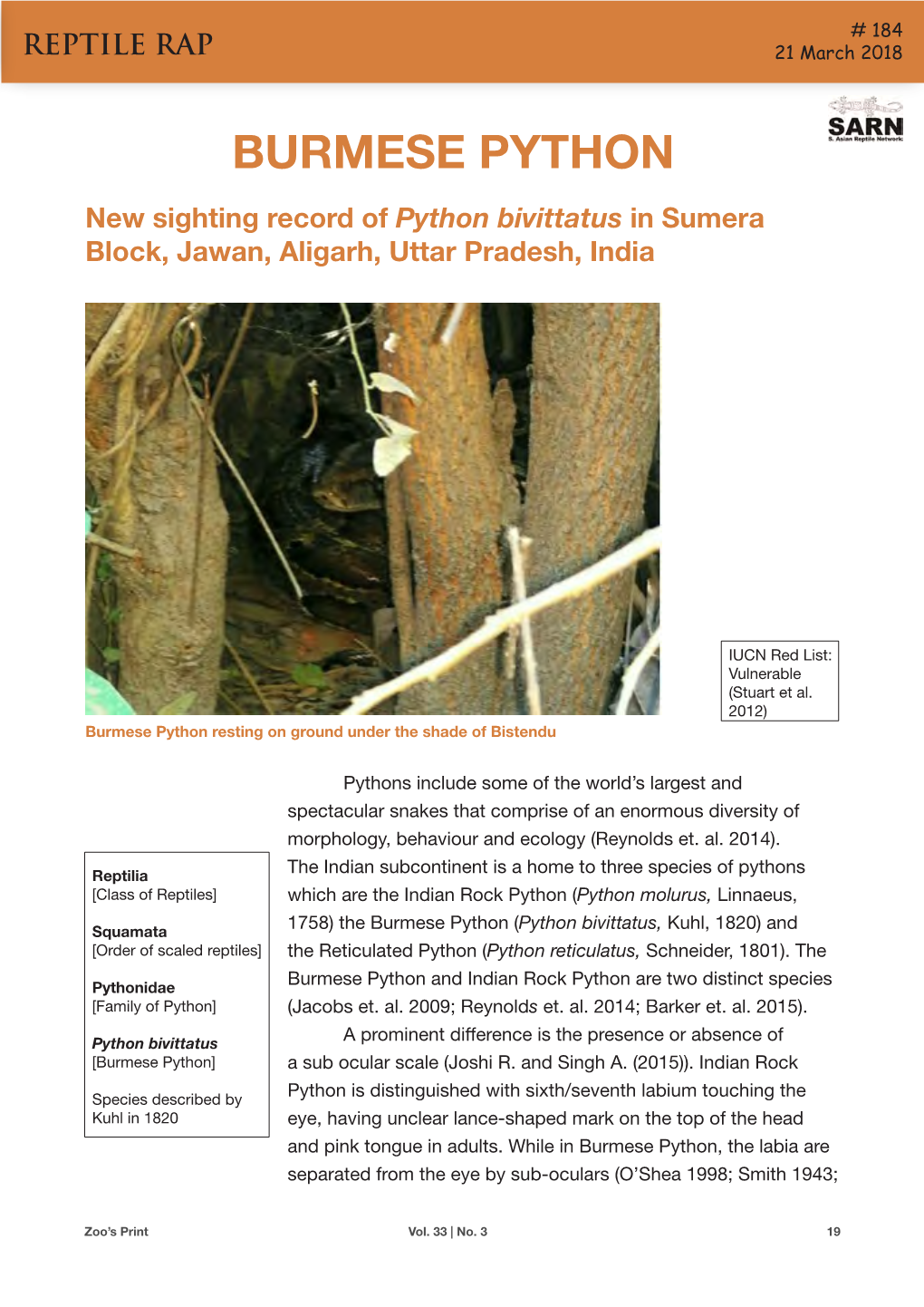 BURMESE PYTHON New Sighting Record of Python Bivittatus in Sumera Block, Jawan, Aligarh, Uttar Pradesh, India