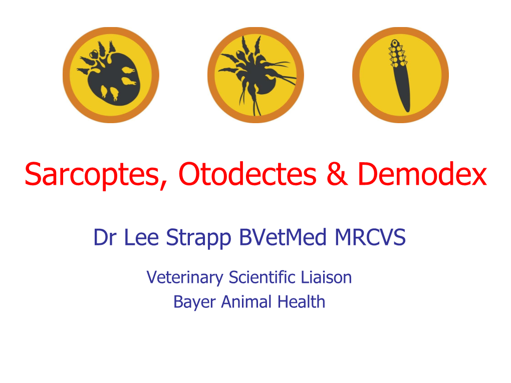 Sarcoptes, Otodectes & Demodex